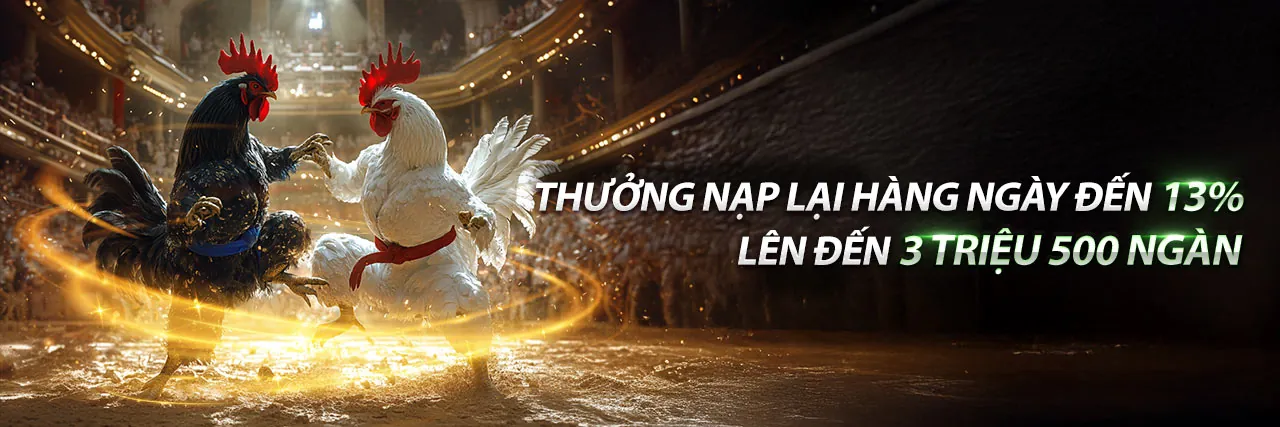 Đá Gà Trực Tuyến XSO99 - Sân Đấu Kịch Tính